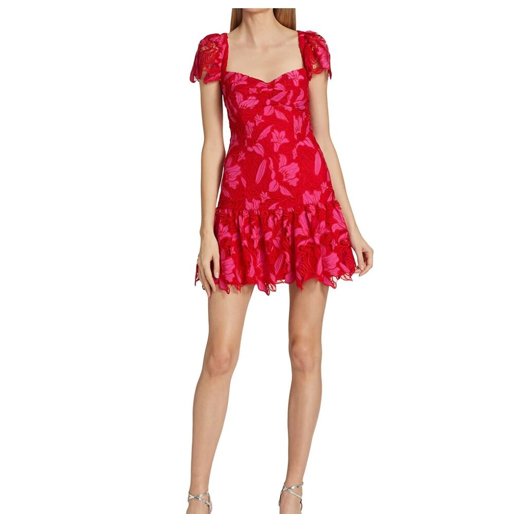 Monique Lhuillier Embroidered Lace Minidress Guipure Lace Coquette Fairy Sz 12 - Picture 5 of 13